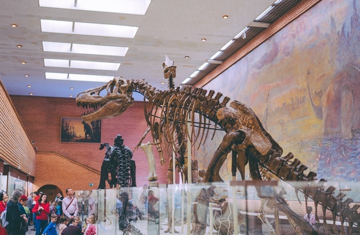 اكتشاف حفرية لأضخم ديناصور من العصر الطباشيري