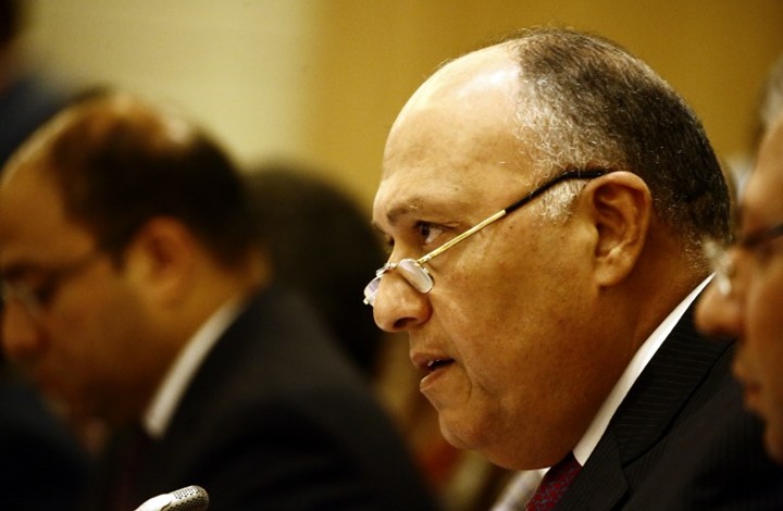 وزير خارجية مصر يعلق على عمل اللجنة الدستورية السورية
