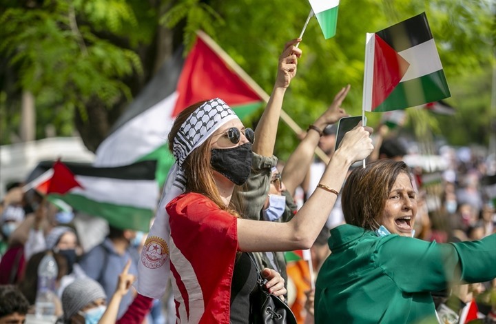 استمرار فعاليات التضامن العربي الشعبي مع الفلسطينيين (شاهد)