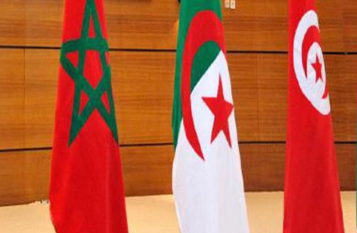 النظم التربوية في البلدان المغاربية.. الواقع والآفاق (2من2) النظم التربوية في البلدان المغاربية.. الواقع والآفاق (2من2)