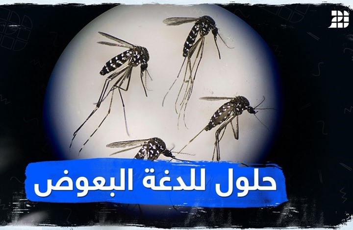 حلول للدغة البعوض حلول للدغة البعوض