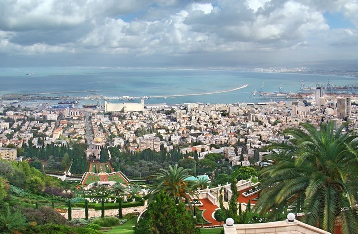 حيفا مدينة التوت والأرجوان تقاوم على جبل الكرمل حيفا مدينة التوت والأرجوان تقاوم على جبل الكرمل