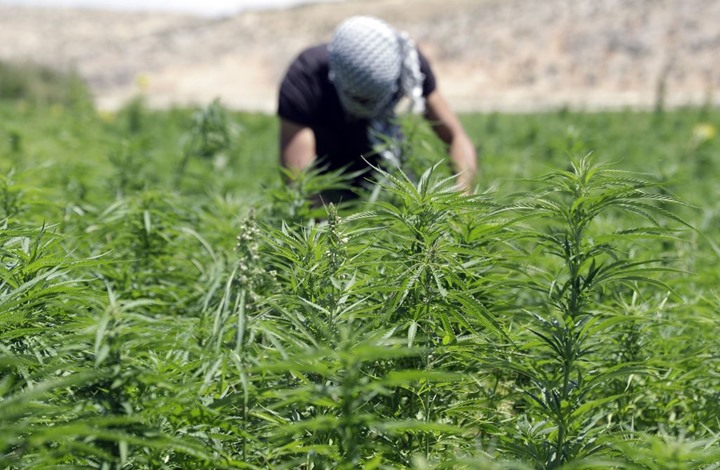 موقع إسرائيلي: هكذا يسيطر الله المخدرات
