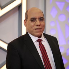 الجيش المصري من الحرب إلى السياسة